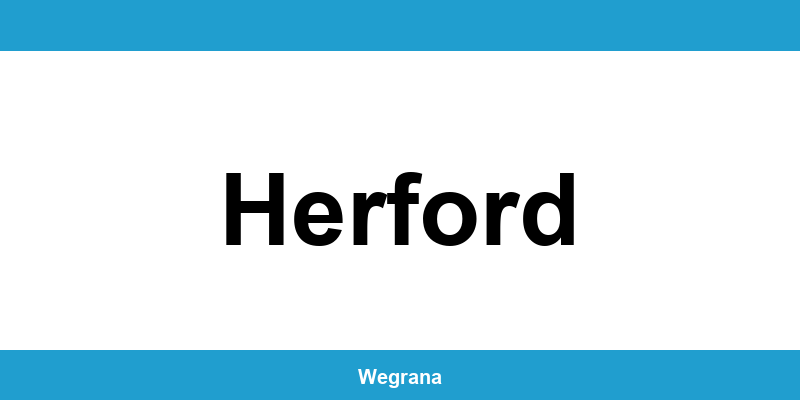 Jugendamt Herford – Telefonnummer und Öffnungszeiten