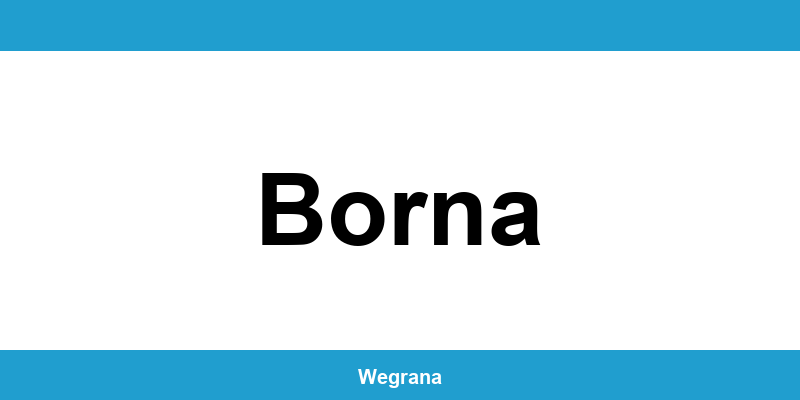 Jugendamt Borna – Telefonnummer und Öffnungszeiten