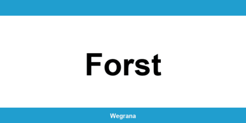 Jugendamt Forst – Telefonnummer und Öffnungszeiten