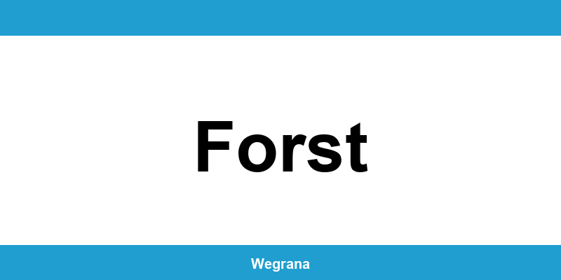 Jugendamt Forst – Telefonnummer und Öffnungszeiten
