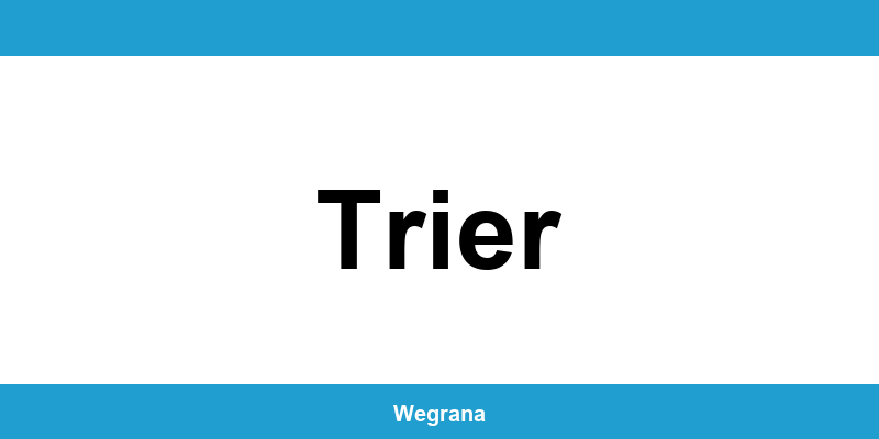 Jugendamt Trier – Telefonnummer und Öffnungszeiten