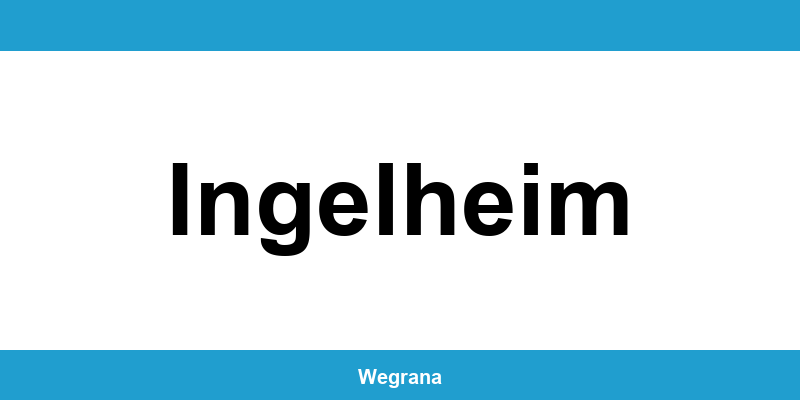 Jugendamt Ingelheim – Telefonnummer und Öffnungszeiten