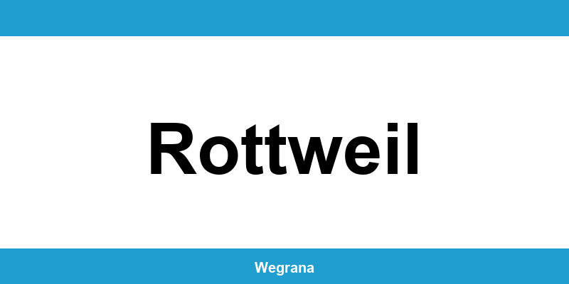 Jugendamt Rottweil – Telefonnummer und Öffnungszeiten