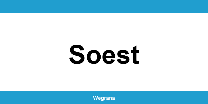 Jugendamt Soest – Telefonnummer und Öffnungszeiten