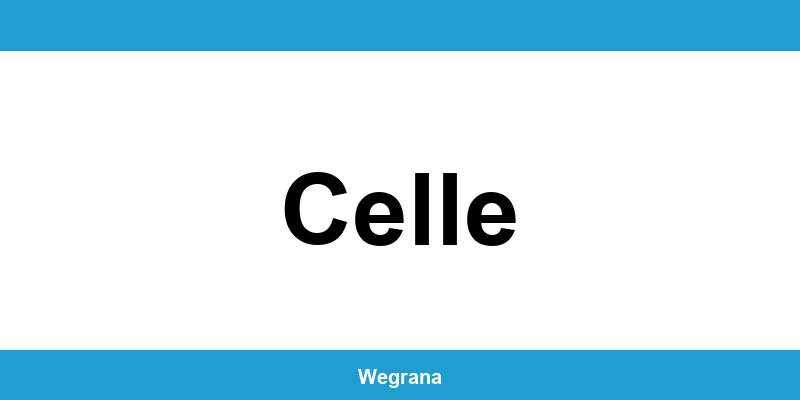 Jugendamt Celle – Telefonnummer und Öffnungszeiten