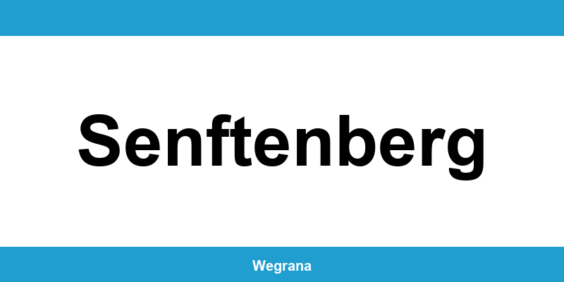 Jugendamt Senftenberg – Telefonnummer und Öffnungszeiten