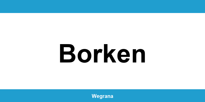 Jugendamt Borken – Telefonnummer und Öffnungszeiten