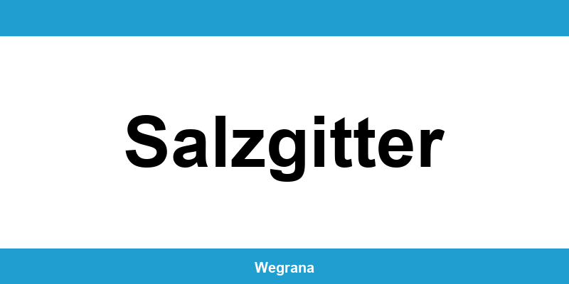 Jugendamt Salzgitter – Telefonnummer und Öffnungszeiten
